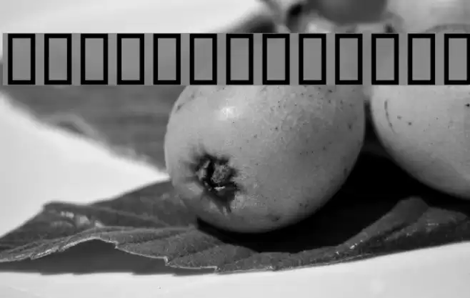 WBX Scrawl Font examples