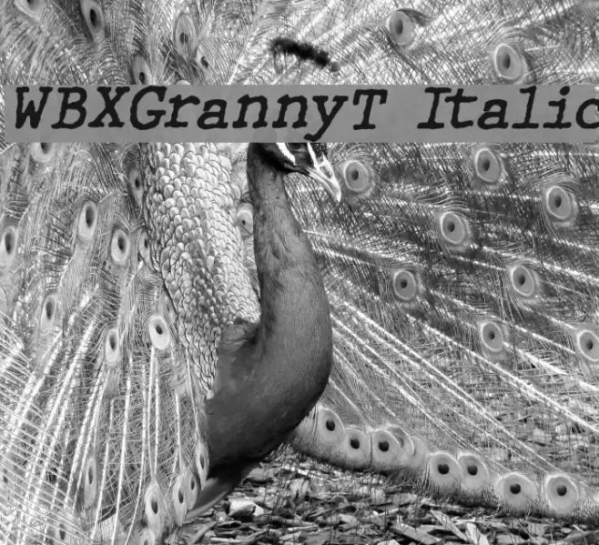 WBXGrannyT Italic Font examples