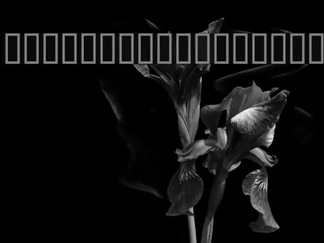 WBXGrannyT Italic Font examples