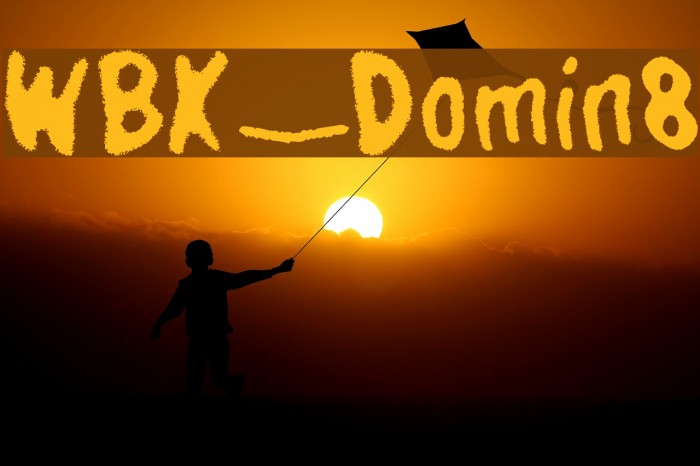WBX_Domin8 Example 1