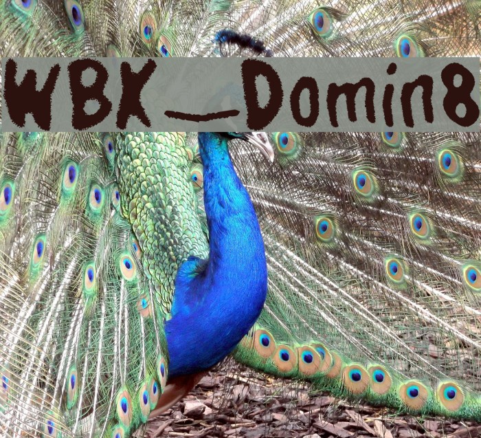 WBX_Domin8 Example 2