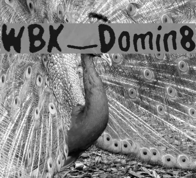 WBX_Domin8 Font examples