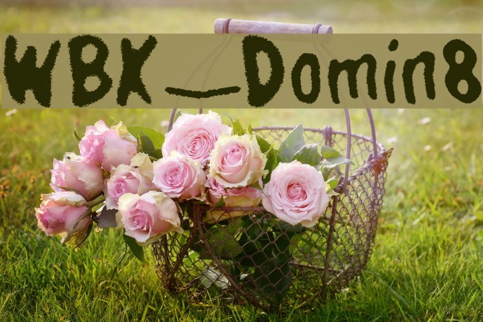 WBX_Domin8 Example 3