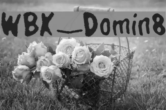 WBX_Domin8 Font examples