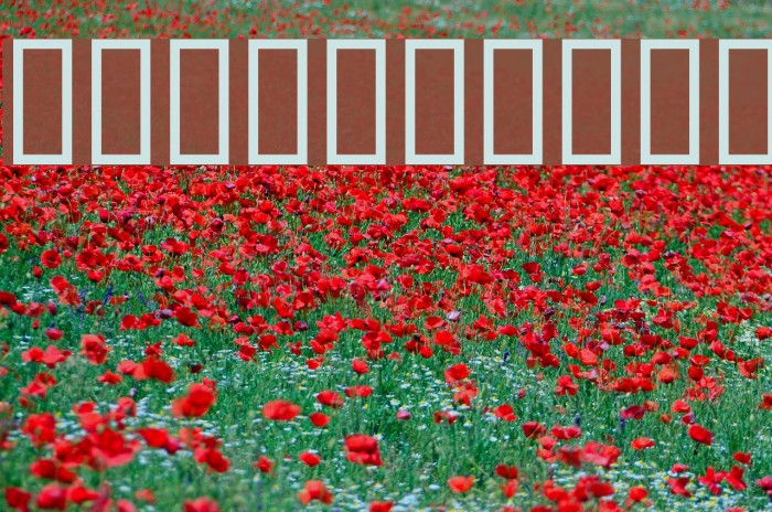 WBX_Domin8 Font examples