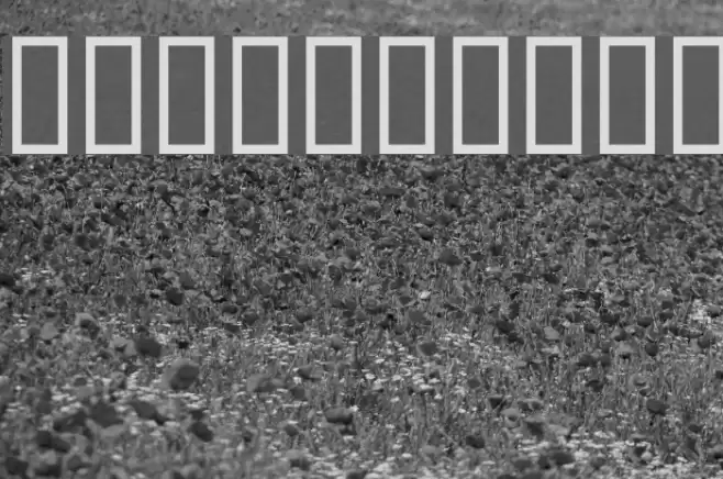 WBX_Domin8 Fonte examples