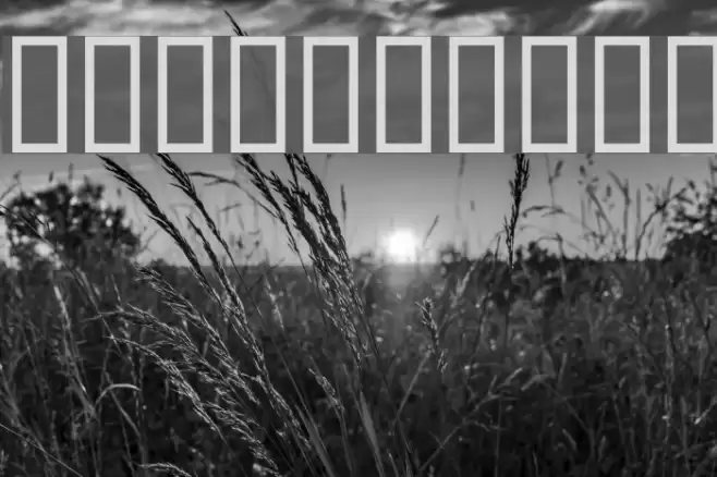 WBX_Domin8 Fonte examples