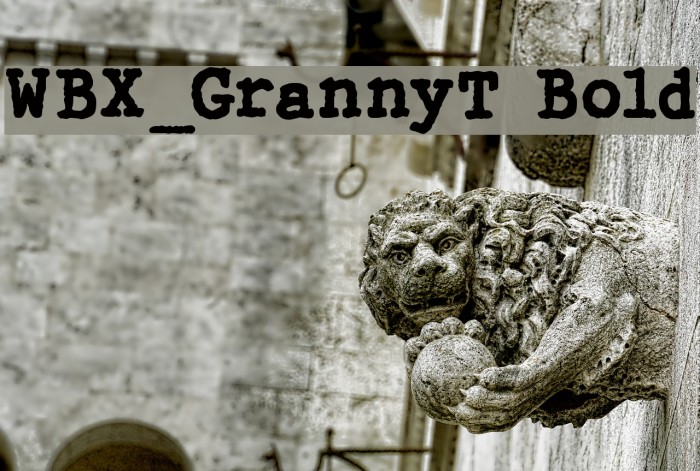 WBX_GrannyT Bold Font examples