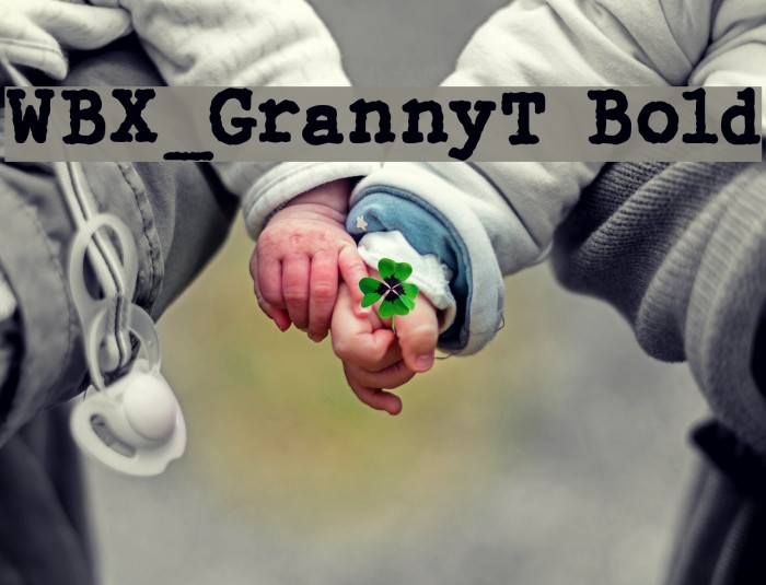 WBX_GrannyT Bold Font examples