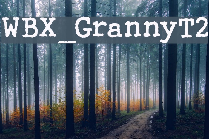 WBX_GrannyT2 Font examples