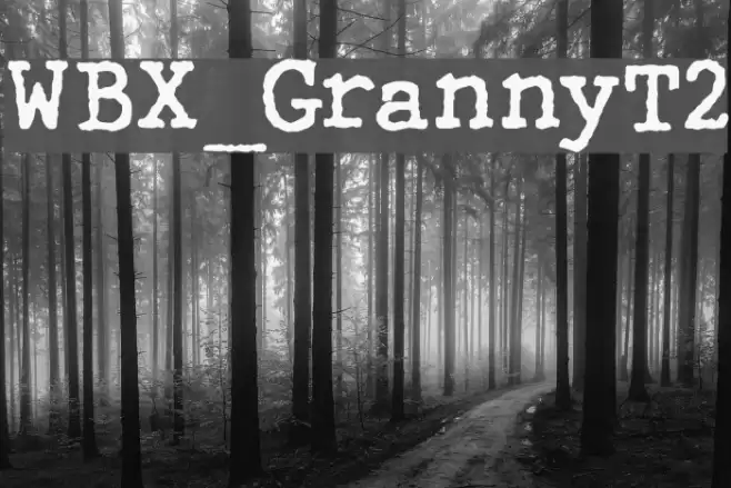 WBX_GrannyT2 Caratteri examples