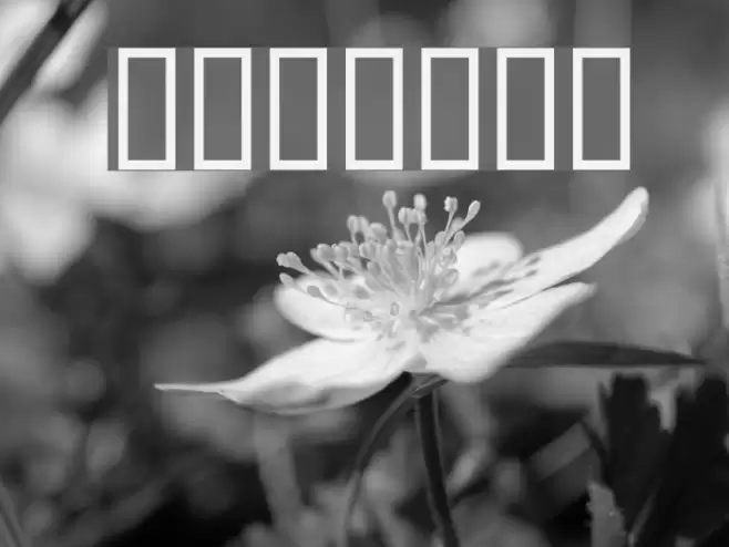 WBX_GrannyT2 Font examples