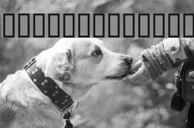 WBX_lucidite Font examples