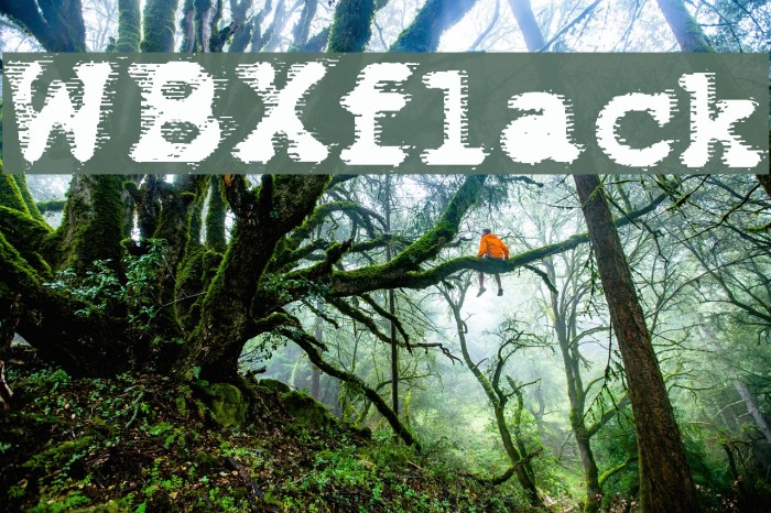 WBXflack Font examples