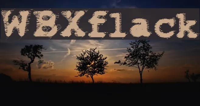 WBXflack Example 3