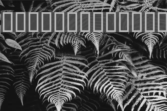 WBXlucidite Bold خط examples