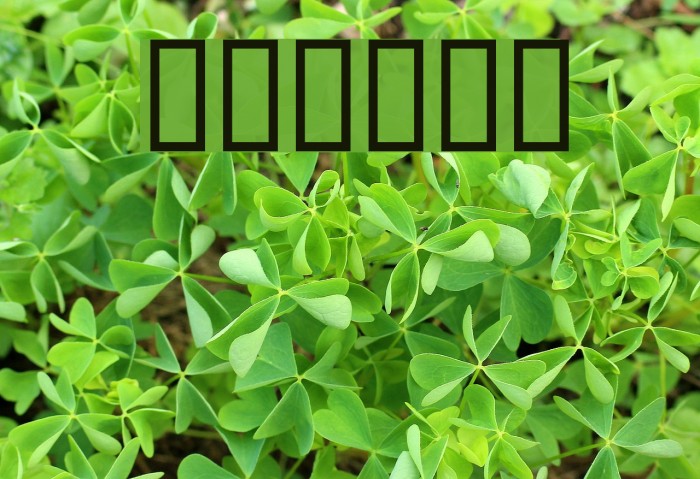 WBXlucidite  Thin Example 1