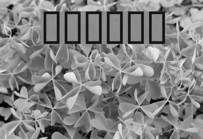 WBXlucidite  Thin Font examples