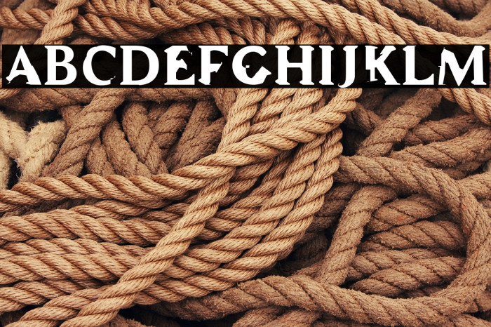 WC ADDENDUM Bta Bold Example 2