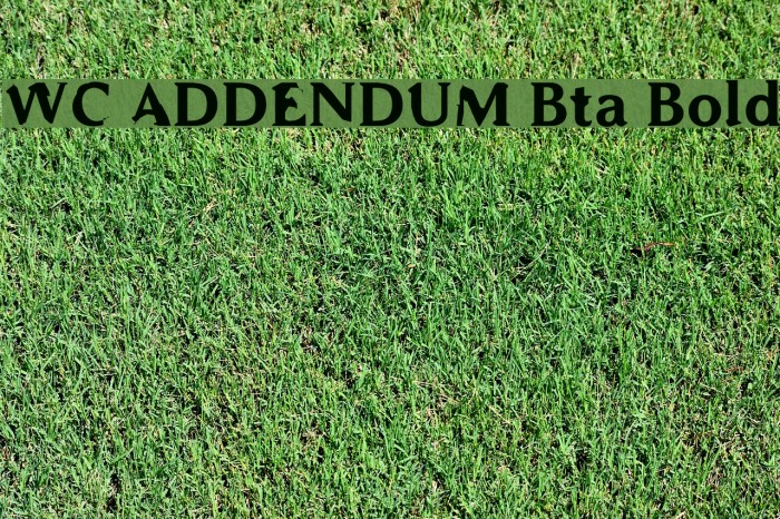 WC ADDENDUM Bta Bold Font examples