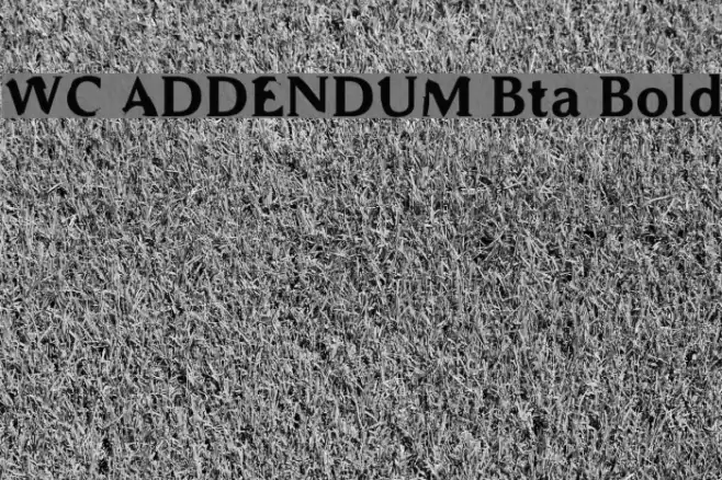 WC ADDENDUM Bta Bold Font examples