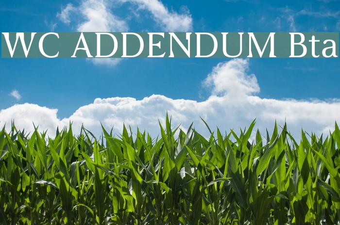 WC ADDENDUM Bta Font examples
