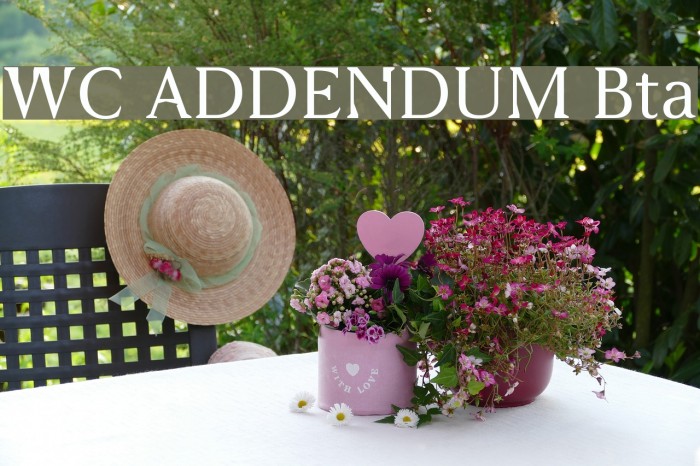 WC ADDENDUM Bta Font examples