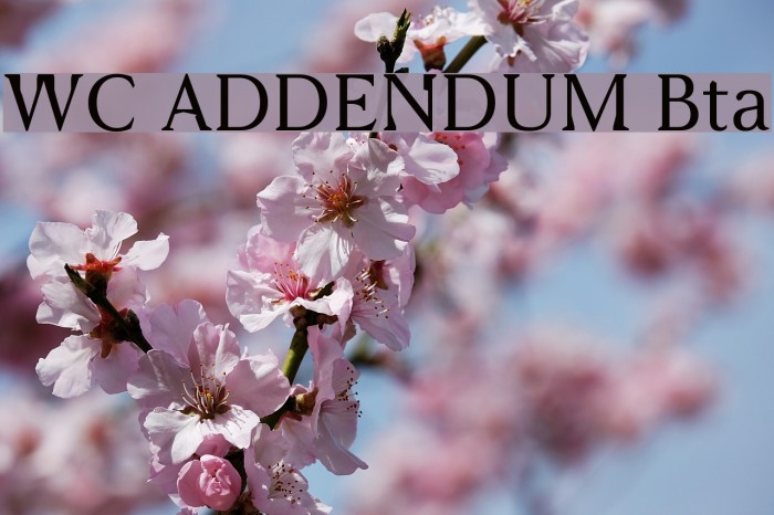 WC ADDENDUM Bta Font examples