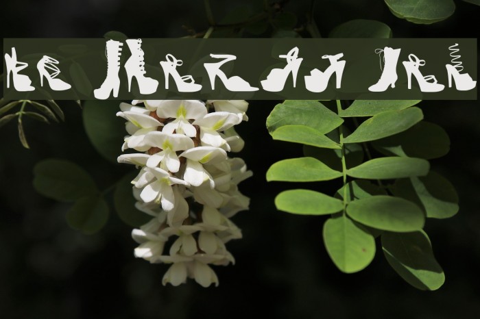 WC Fetish Bta Example 1