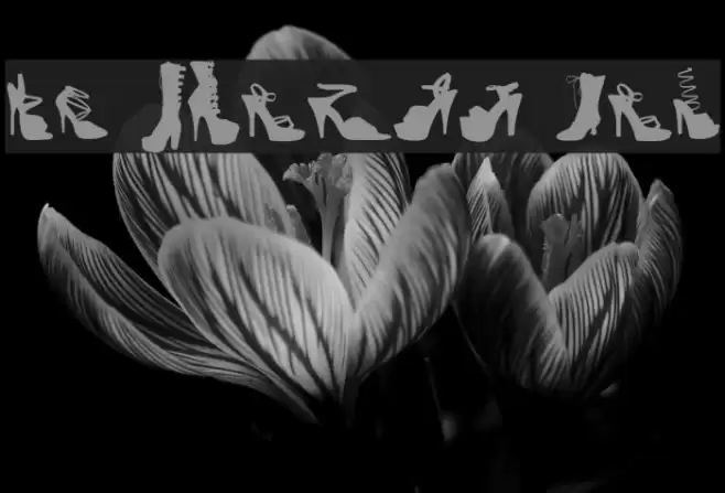 WC Fetish Bta Font examples