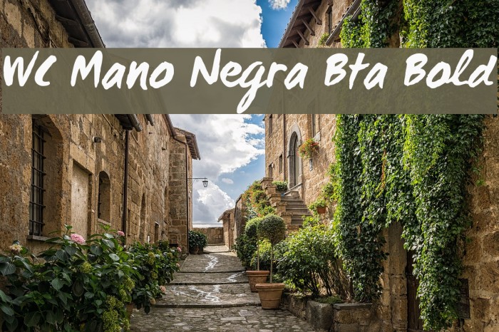 WC Mano Negra Bta Bold Font examples