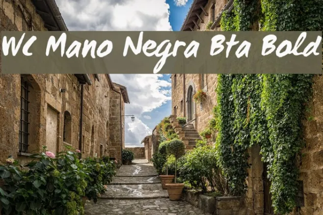 WC Mano Negra Bta Bold Example 3