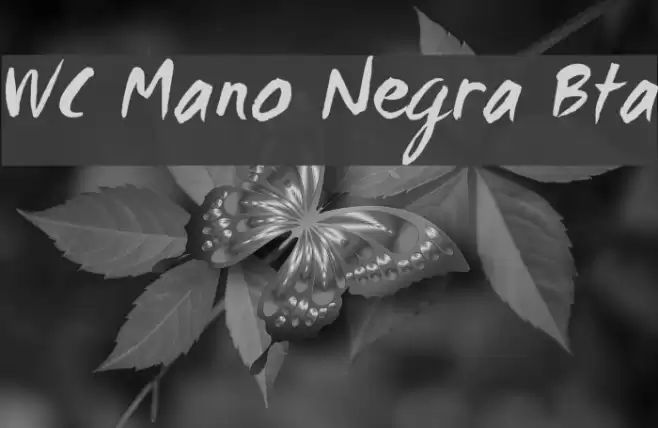 WC Mano Negra Bta Font examples