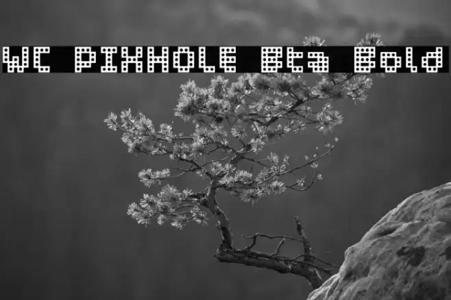 WC PIXHOLE Bta Bold Font examples
