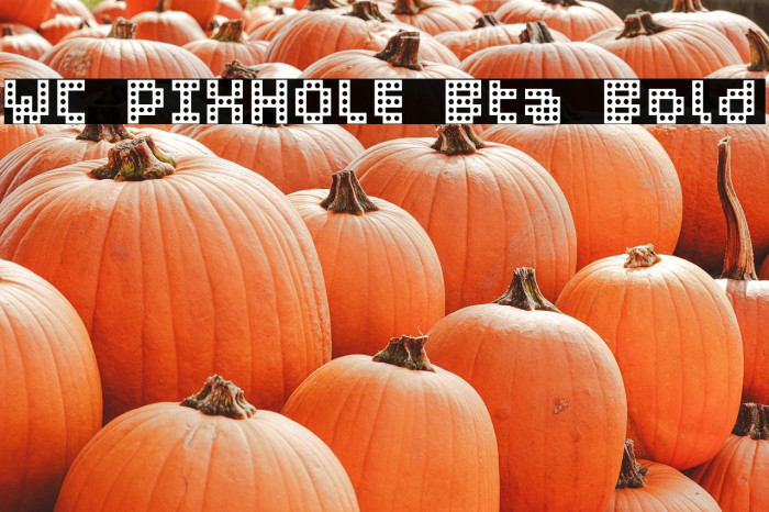 WC PIXHOLE Bta Bold Example 3