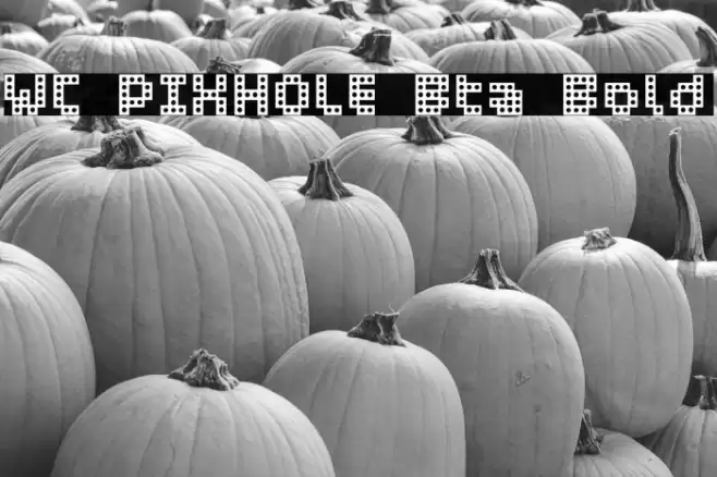 WC PIXHOLE Bta Bold Font examples