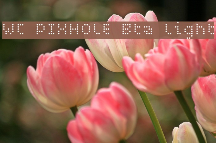 WC PIXHOLE Bta Light Font examples