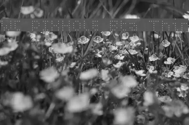 WC PIXHOLE Bta Thin Font examples