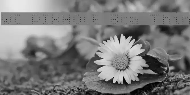 WC PIXHOLE Bta Thin Font examples