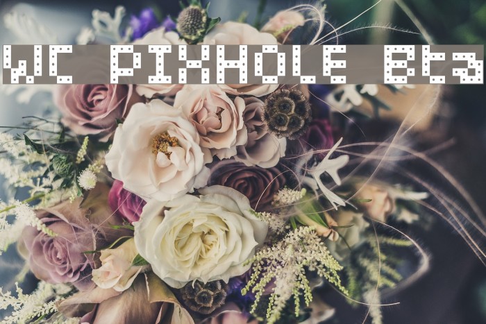 WC PIXHOLE Bta Font examples