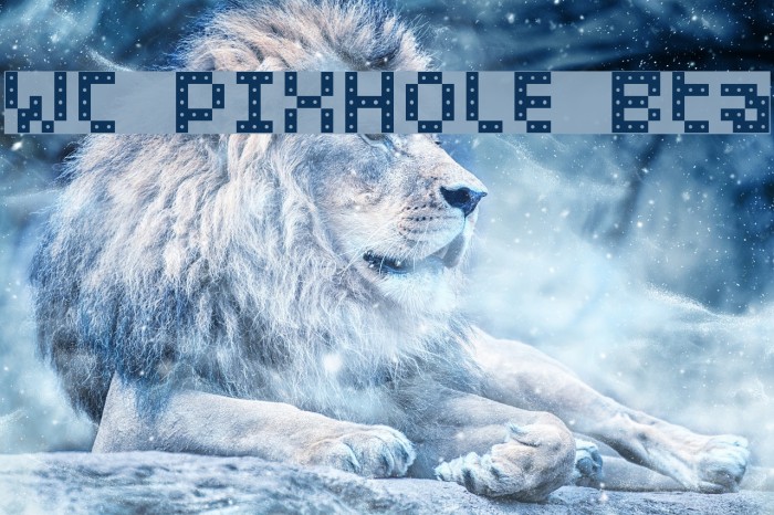 WC PIXHOLE Bta Font examples