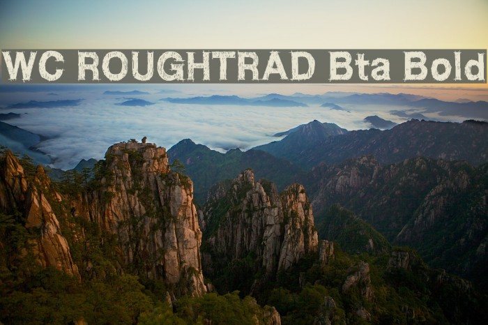 WC ROUGHTRAD Bta Bold Font examples