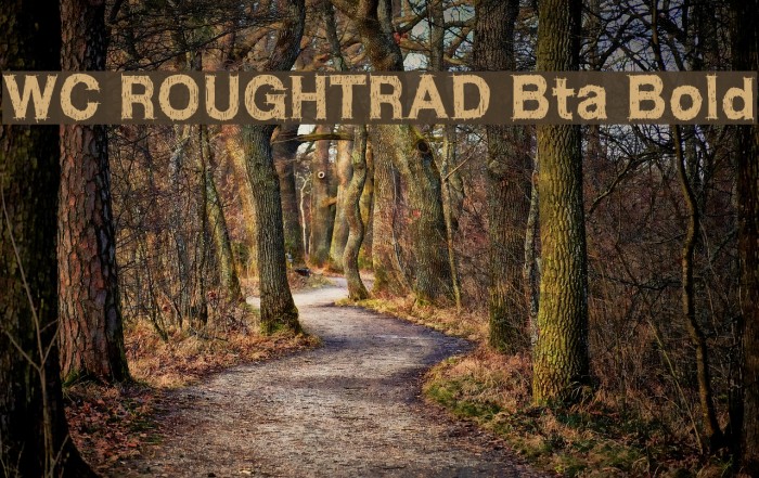 WC ROUGHTRAD Bta Bold Font examples
