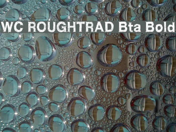 WC ROUGHTRAD Bta Bold Font examples