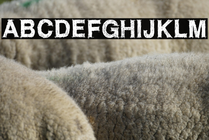 WC ROUGHTRAD Bta Example 3