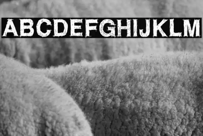 WC ROUGHTRAD Bta Font examples