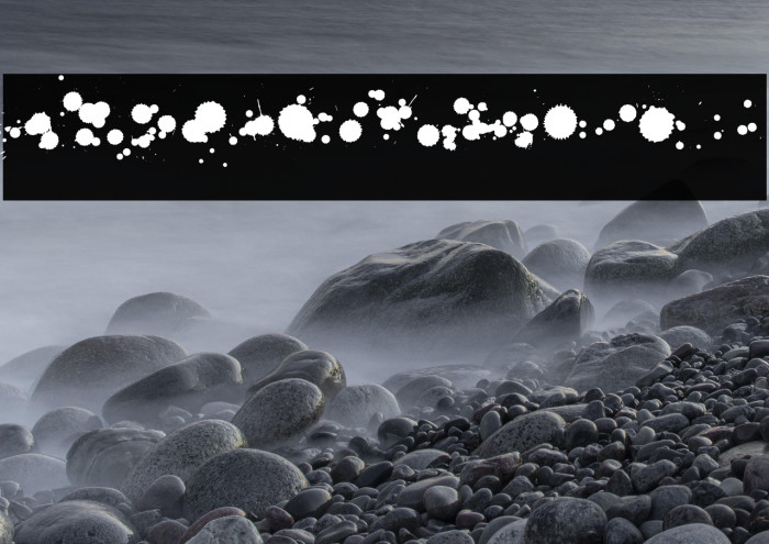 WC Rhesus B Bta1  examples