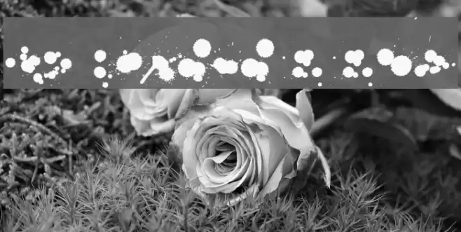 WC Rhesus B Bta Font examples