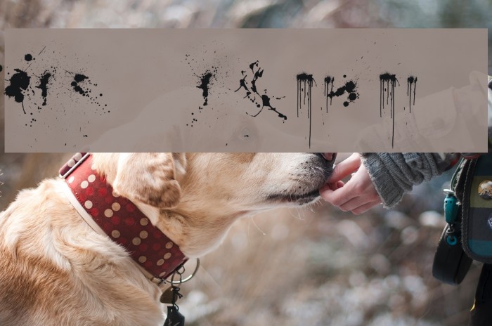WC Rhesus C 2Bta Italic Font examples