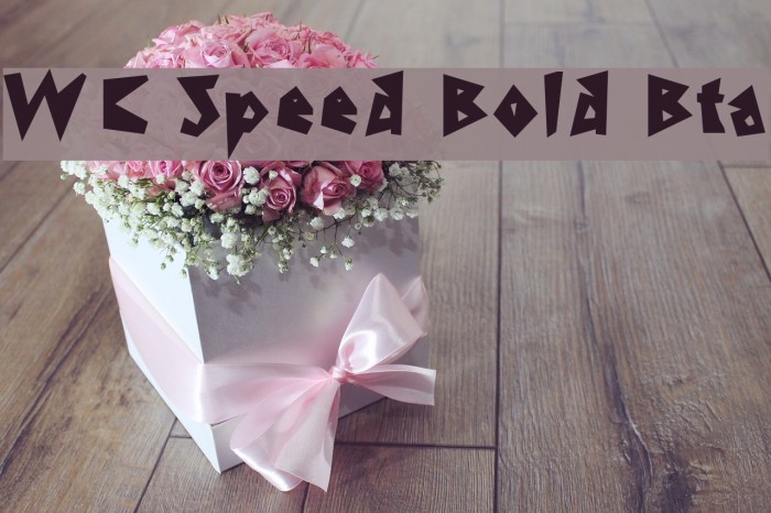 WC Speed Bold Bta Example 1